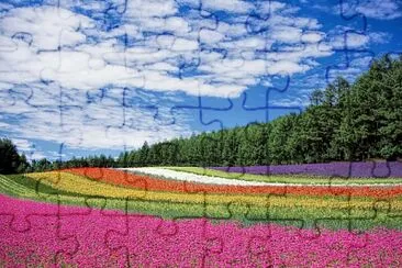 Campo jigsaw puzzle