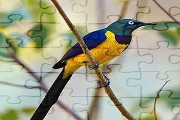 natural jigsaw puzzle