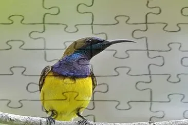 natural jigsaw puzzle