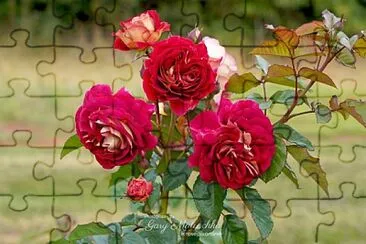 flores jigsaw puzzle