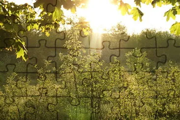 Early morning sun jigsaw puzzle