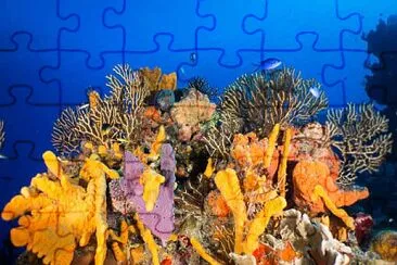 4 jigsaw puzzle