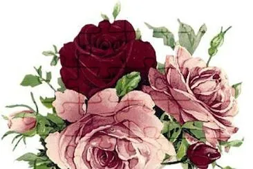 rosas jigsaw puzzle