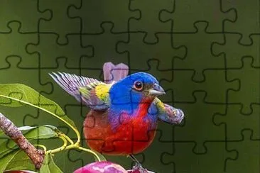 cores jigsaw puzzle