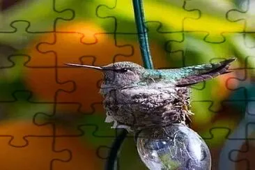 natural jigsaw puzzle