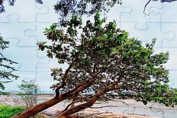 natural jigsaw puzzle