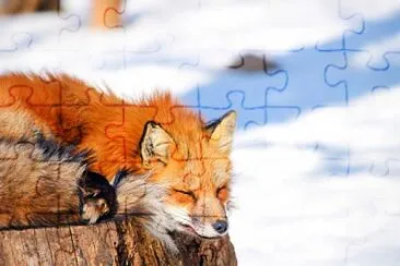  jigsaw puzzle