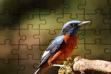 natural jigsaw puzzle