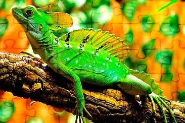 Reptiles jigsaw puzzle