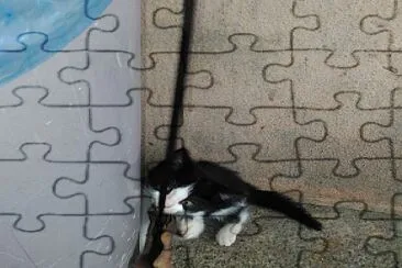 NenÃ©m jigsaw puzzle