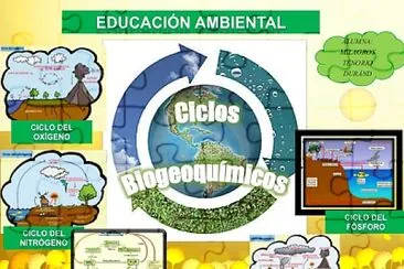 CICLOS BIOGEOQUIMICOS jigsaw puzzle