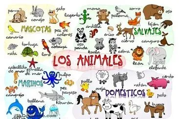 CLASES DE ANIMALES