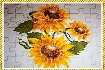 girasoles