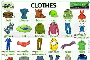 Clothes