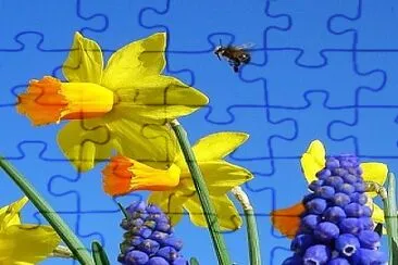 flores jigsaw puzzle