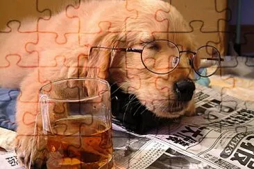 CACHORRO INTELECTUAL