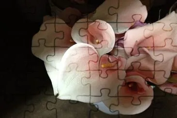 flores jigsaw puzzle