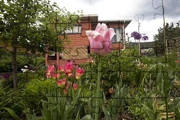 פאזל של Garden Shed