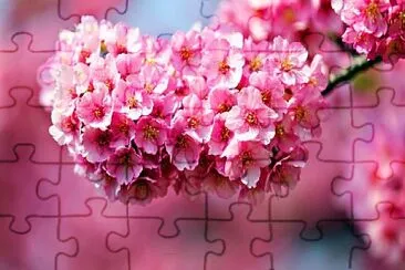 flores jigsaw puzzle