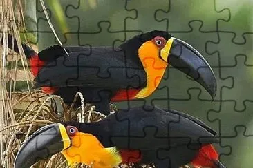 natural jigsaw puzzle