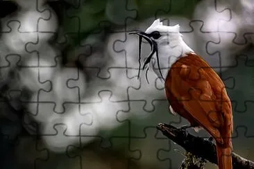 natural jigsaw puzzle