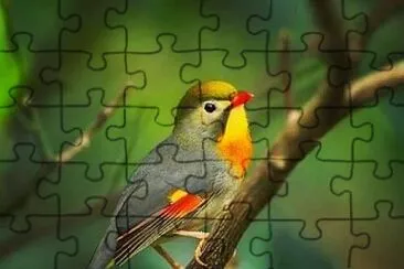 cores jigsaw puzzle