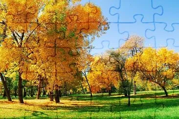 natural jigsaw puzzle