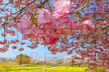 paisaje andino jigsaw puzzle