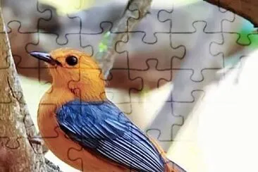 natural jigsaw puzzle