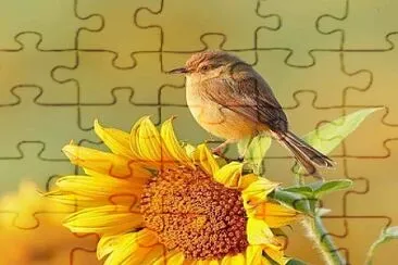 flores jigsaw puzzle