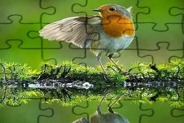 natural jigsaw puzzle