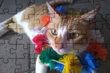 Rony o gato jigsaw puzzle