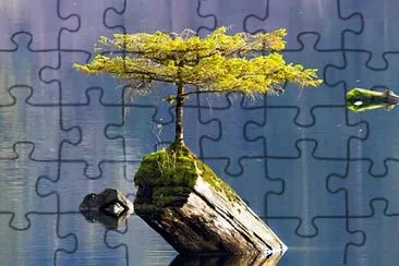 natural jigsaw puzzle