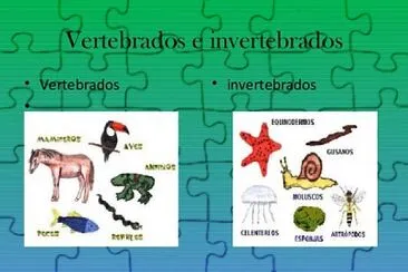 ANIMALES VERTEBRADOS jigsaw puzzle