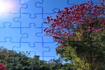 natural jigsaw puzzle