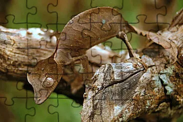 Geco satanico dalla coda a foglia jigsaw puzzle