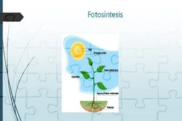 FOTOSINTESIS jigsaw puzzle