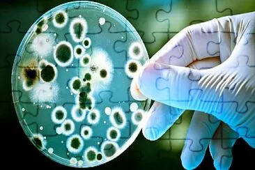 virus y bacterias jigsaw puzzle