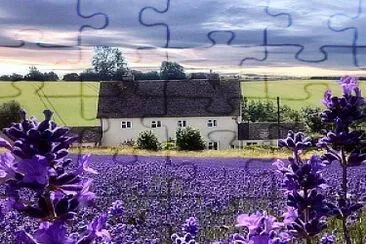 flores jigsaw puzzle