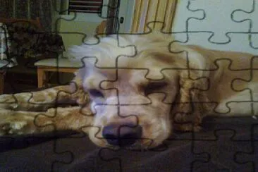 kiara jigsaw puzzle