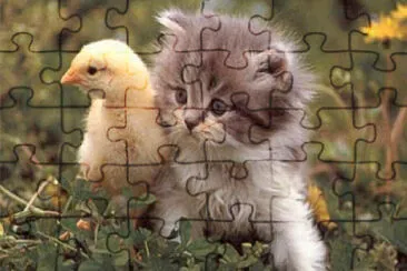 animales domesticos jigsaw puzzle