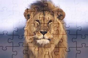 Animales salvajes jigsaw puzzle