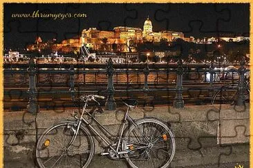 Bike along the Danube with Palace in the distance jigsaw puzzle