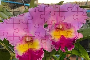 flores jigsaw puzzle