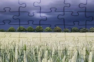 natural jigsaw puzzle