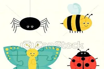 Insects