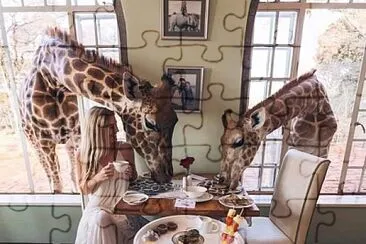 15 jigsaw puzzle