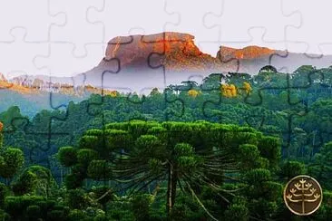 natural jigsaw puzzle