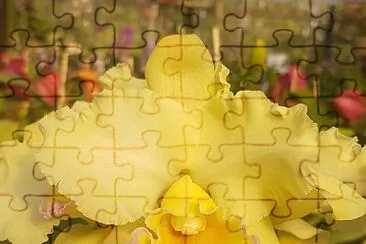 flores jigsaw puzzle