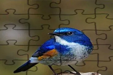 natural jigsaw puzzle